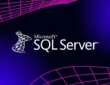Microsoft SQL Server