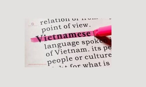 Vietnamese Language
