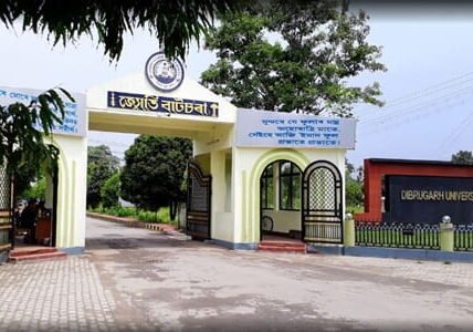 Is Dibrugarh University Government or Private