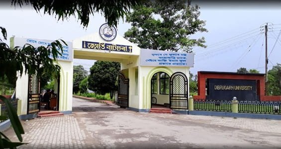 Is Dibrugarh University Government or Private